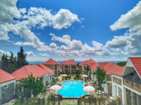 Garden F Sheki